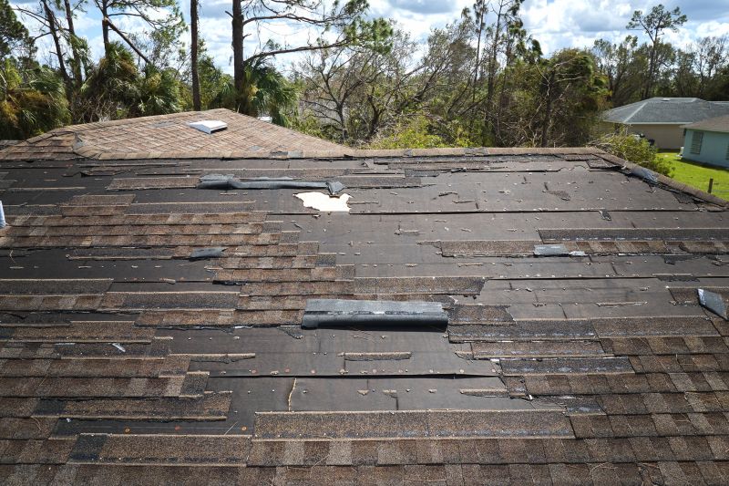 Roof Assessment