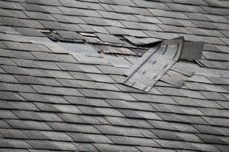 Roof Leak Repair