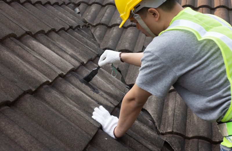 Professional Roofing Team